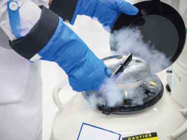A promising new antifreeze for safer cryopreservation of cells