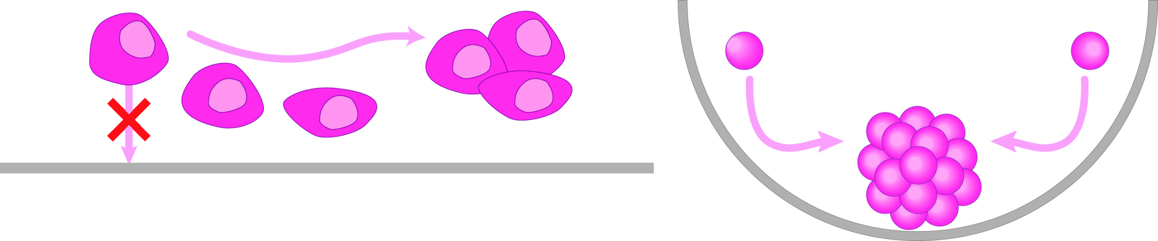 PrimeSurface Key Benefits