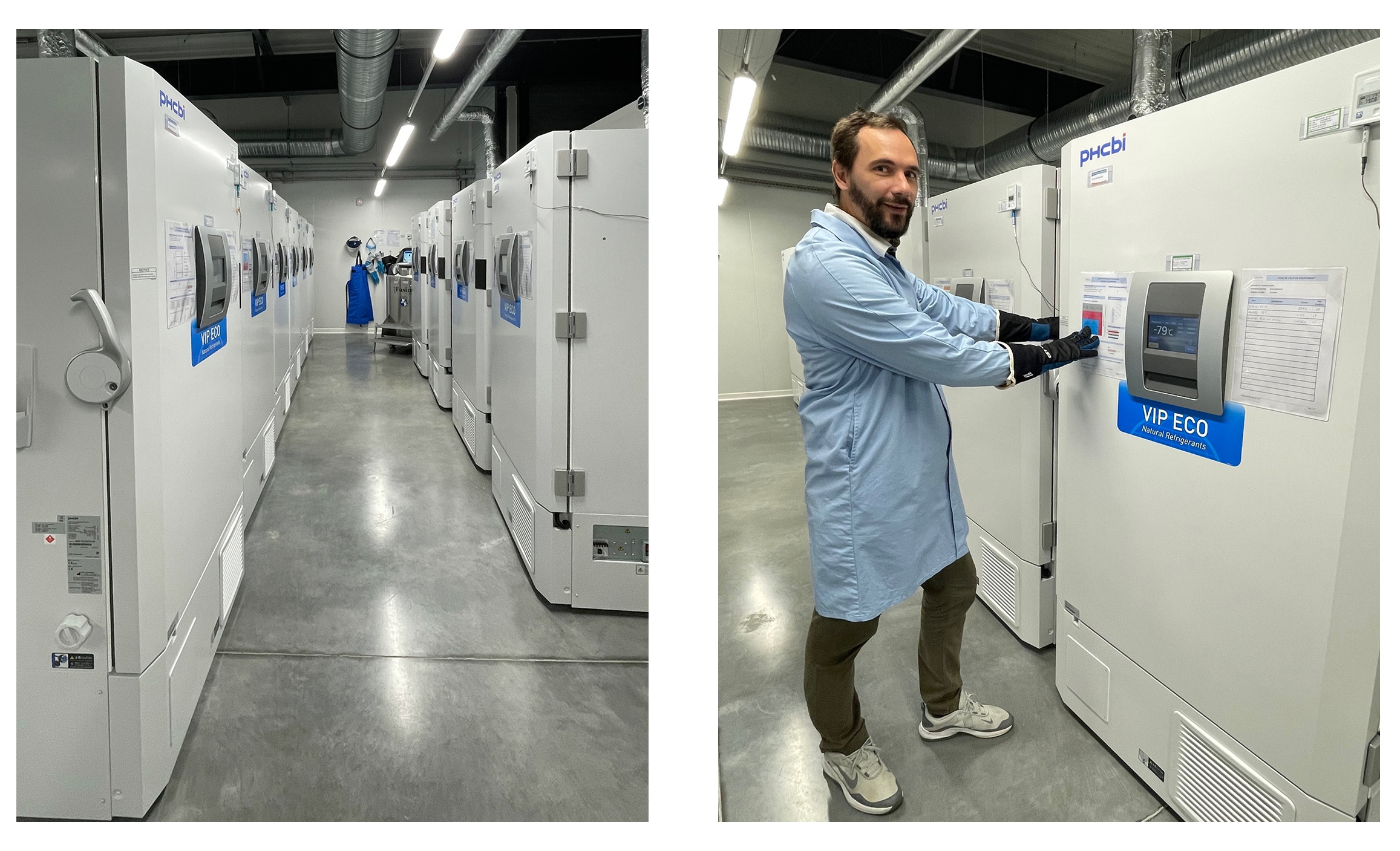 Cell & Co Bioservices responding to increasing demand