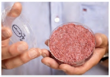 Produkcja mięsa w warunkach in vitro