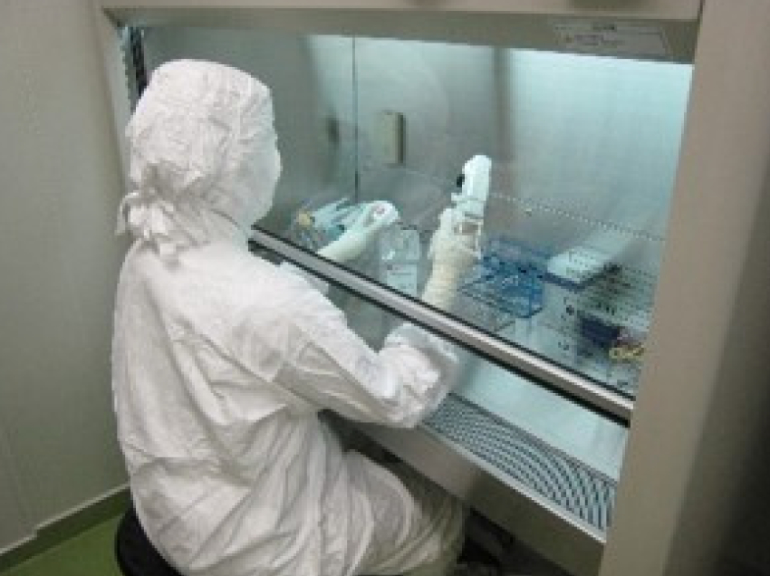 Cell Preparation Room