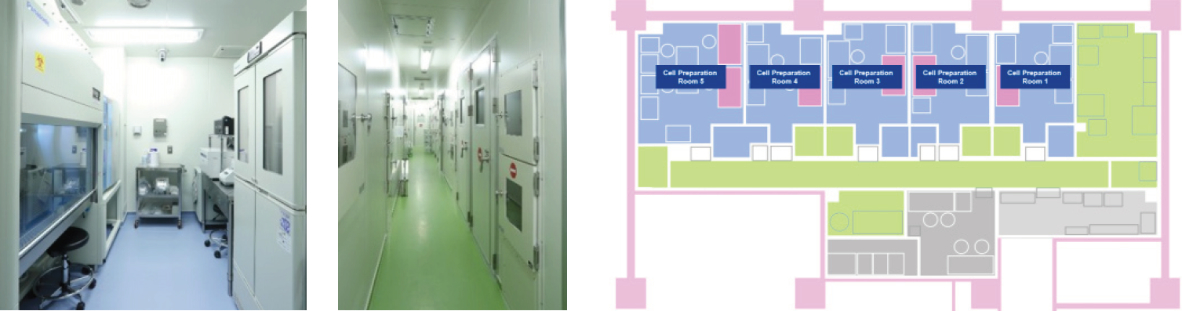 Five cell preparation rooms