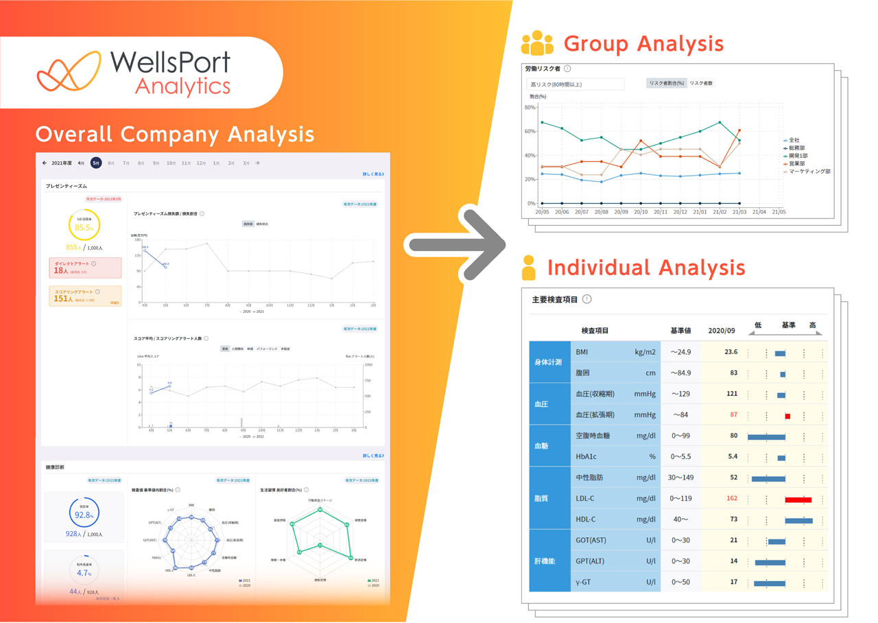 WellsPort Analytics Screen Image