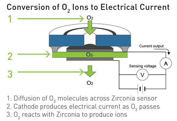 Zirconia O2 Sensor Pattern Identification Zirconia sensor | PHCbi