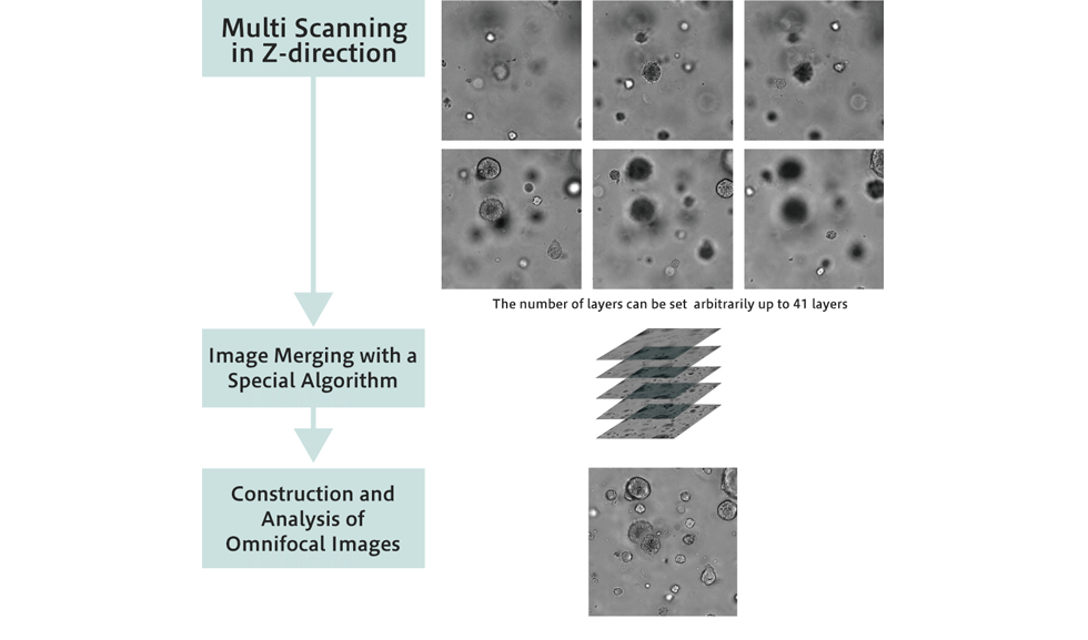3D cellular imaging