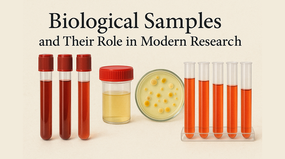 Lab technicians discussing biological samples and their role in modern research during a meeting.