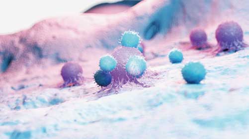 Preventing cancer cells from escaping the immune system – a promising new study