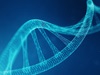 遺伝子解析技術の発展