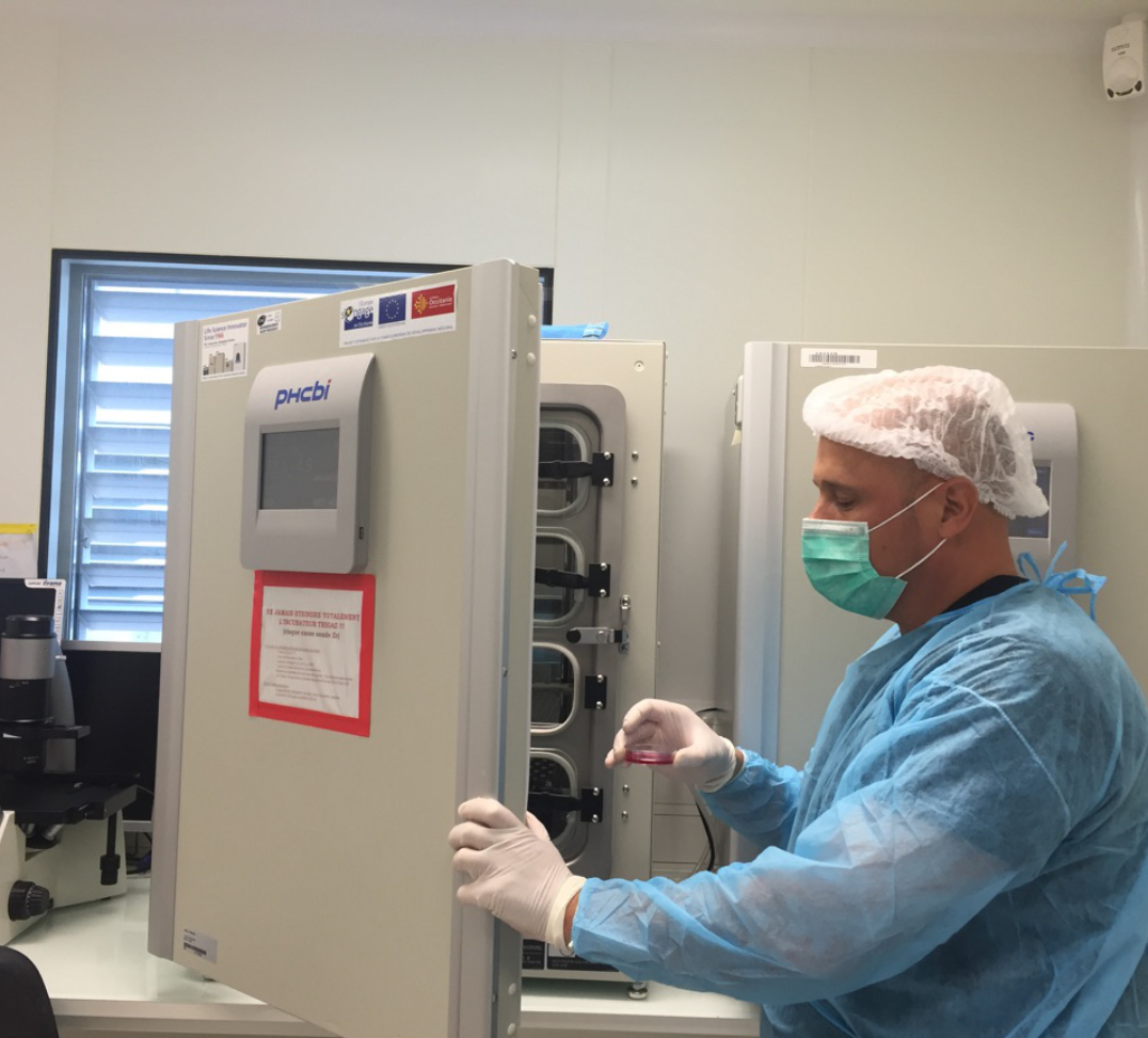 IRMB（再生医療生物療法研究所Insermユニット）