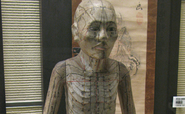 温故知新！日本における「人体模型」の歴史