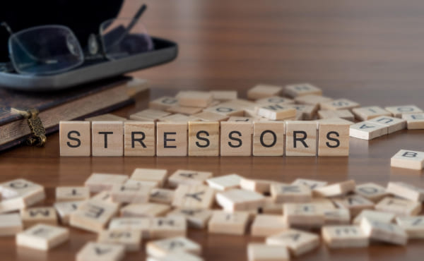 ストレッサーとは
