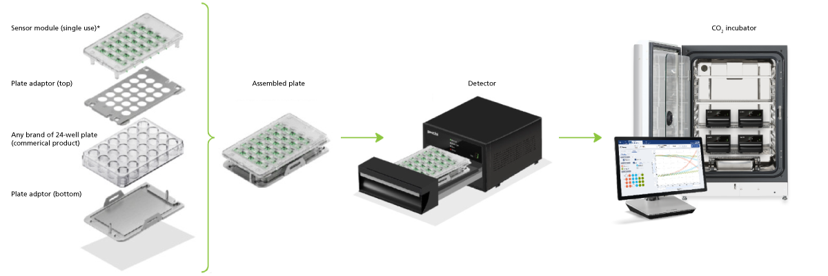 How to Use the LiCellMo Cell Culture Analyzer