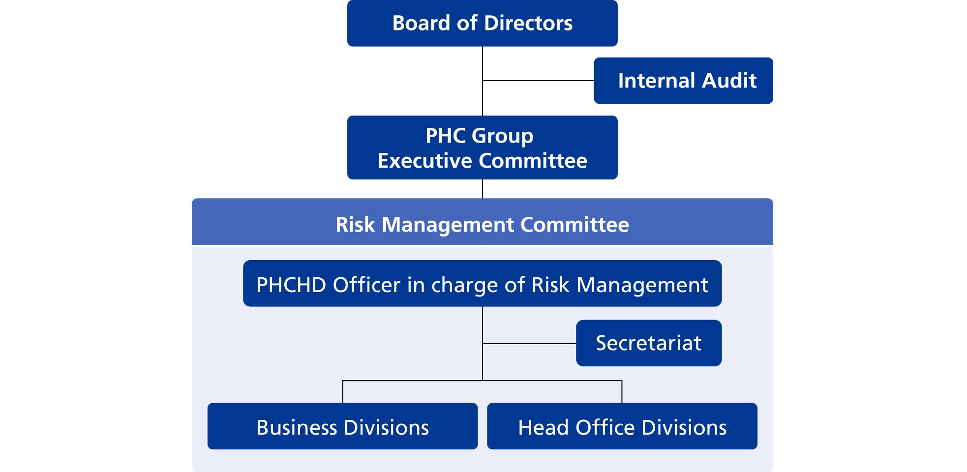 PHC Group Risk Management Structure