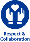 Respect & Collaboration